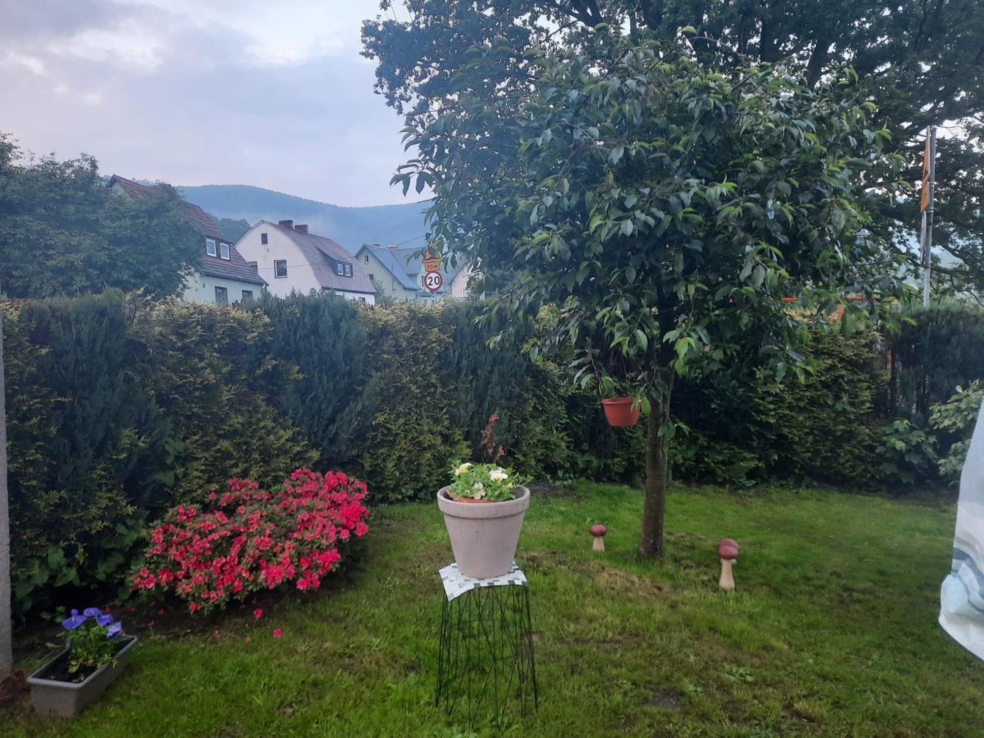 Pod Debem Jugów Exterior foto